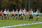 Mens under-20s, 2019 European Cross Country Trials and British Cross Challenge, Sefton Park, Liverpool.  Photo: David T. Hewitson/Sports for All Pics